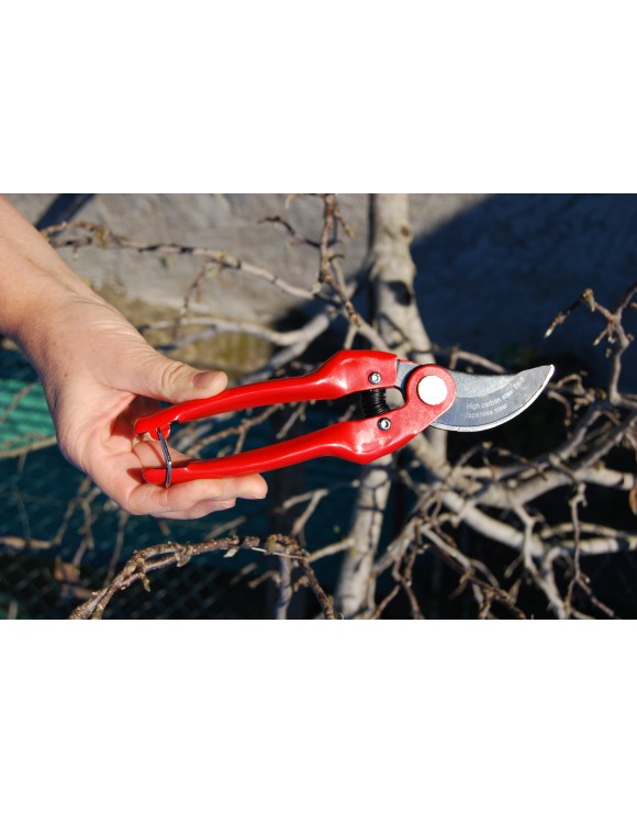 Professional pruning secateurs