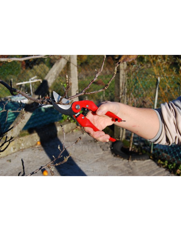 Professional pruning secateurs