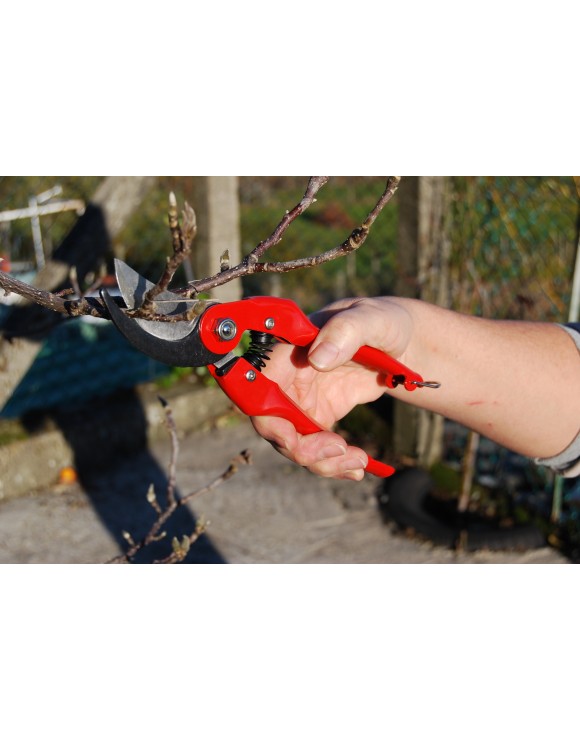 Professional pruning secateurs