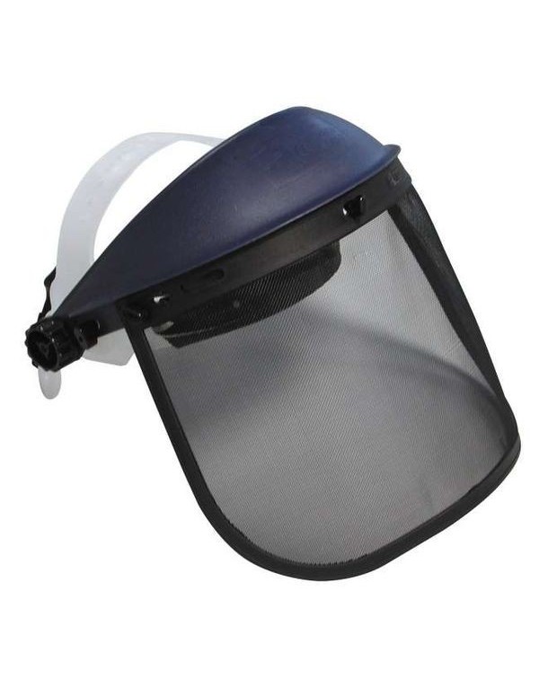 Face shield