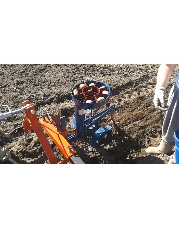 Vegetables seeder