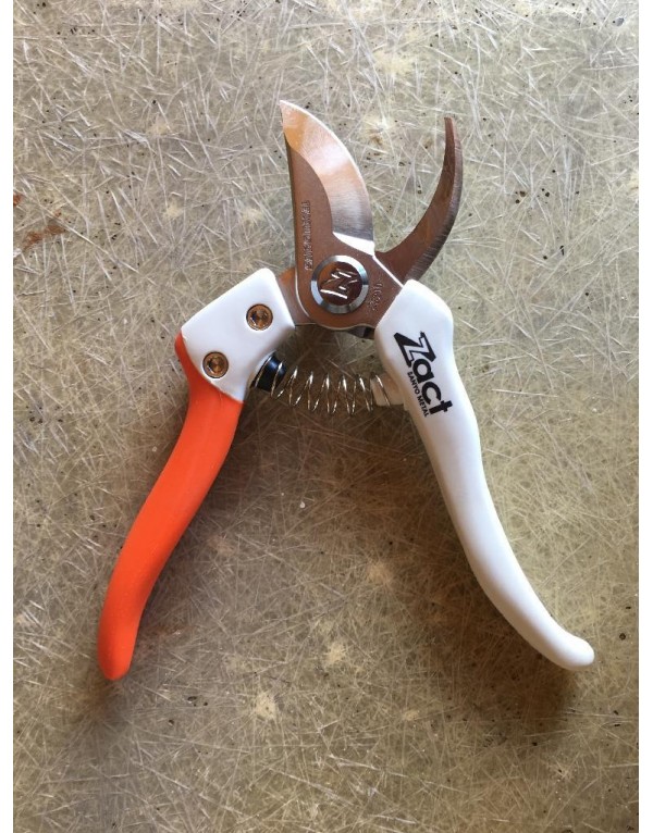 Professional pruning shears