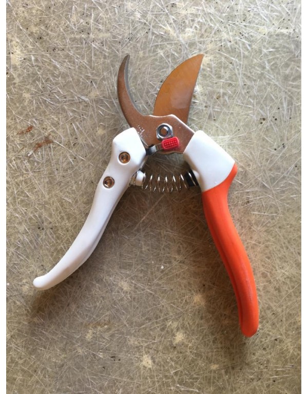 Professional pruning shears