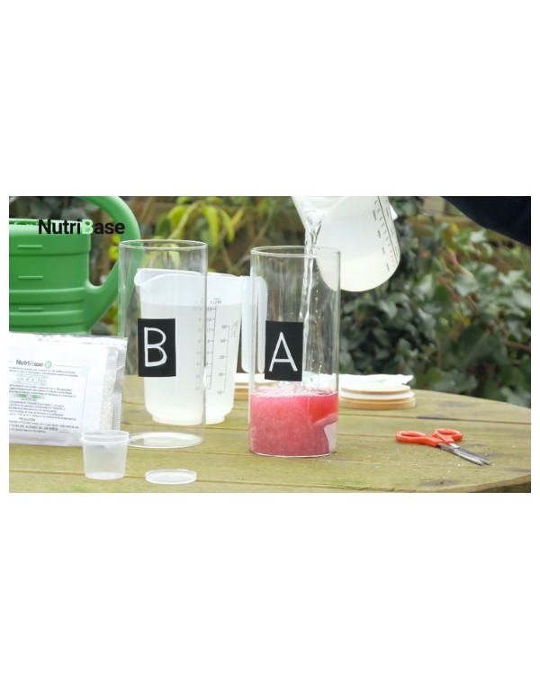 Engrais soluble Nutribase A+B