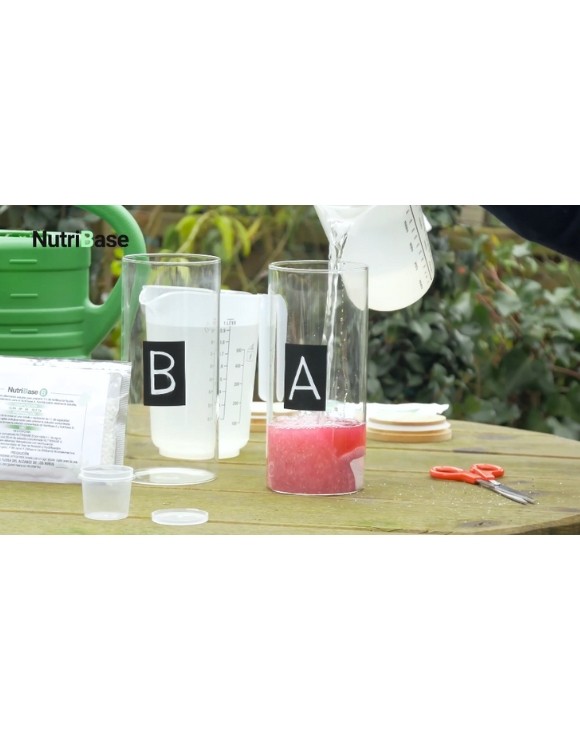 Engrais soluble Nutribase A+B