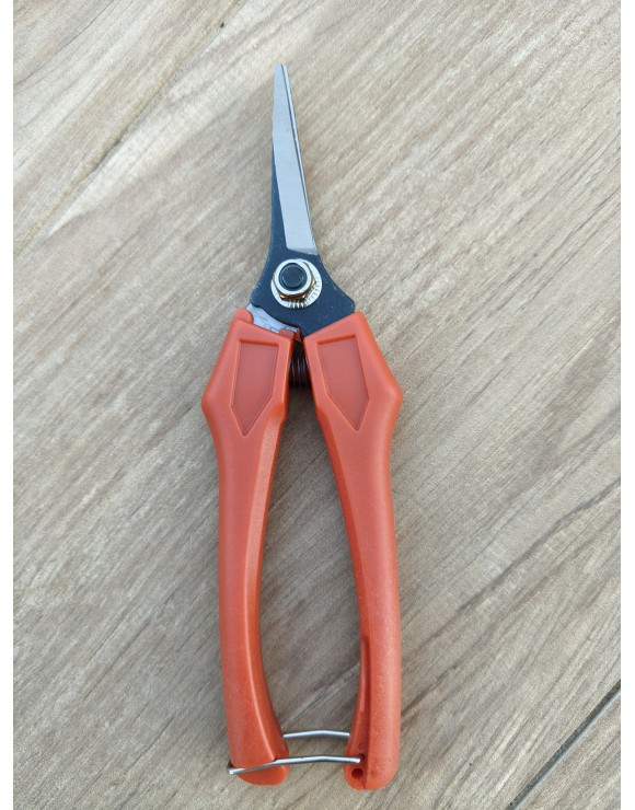 Tijera Vendimia profesional
